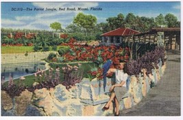 Florida Postcard Miami Parrot Jungle Walkway Flower Garden Flamingoes Swans - £2.32 GBP