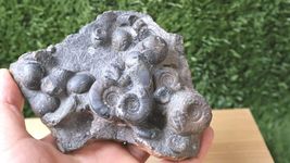 Item image 14