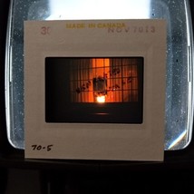 1970 Halloween Jack-O-Lantern In Window VTG 35mm Found Kodachrome Slide Photo - £8.02 GBP
