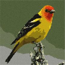 Pepita Needlepoint Canvas: Western Tanager, 10&quot; x 10&quot; - £62.50 GBP+