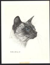 #278 SIAMESE CAT PORTRAIT *  cat art print  *  pen &amp; ink drawing by Jan ... - $12.50