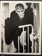 TED CASSIDY AS LURCH (ADDAMS FAMILY) ORIG,VINTAGE TV PROMO PHOTO (CLASSI... - $49.50