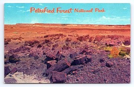 Postcard Petrified Forest National Park Northern Arizona - £3.56 GBP