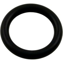 Pentair 79116900 Bulb O-Ring Assembly for Pool Lights - £12.10 GBP