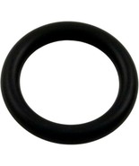 Pentair 79116900 Bulb O-Ring Assembly for Pool Lights - £12.10 GBP