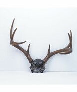 8 Point Elk Deer Antlers Mounted on Black Painted Bone Skull Part - Nice... - $125.81 CAD