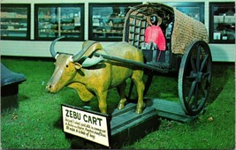 Perry&#39;s Tropical Nut House Belfast, Maine Zebu Cart Postcard - £7.86 GBP