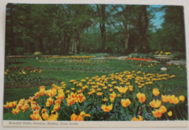 Beautiful Public Gardens Halifax Nova Scotia Canada Post Card - £4.67 GBP