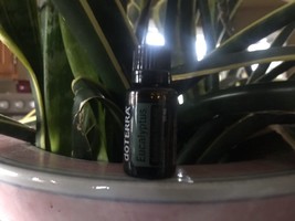 doTERRA Eucalyptus 15 mL Essential Oil  NEW &amp; SEALED Exp 08/27 - $14.95