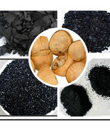 Using Coconut Shell Activated Charcoal for Beetle Farming 1kg - $60.00