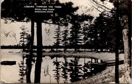 Burnham Maine Looking through the Trees Royal Pine Camps c1940 Postcard X11 - £15.77 GBP