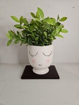 Face Planter With Artificial Plant - £13.25 GBP