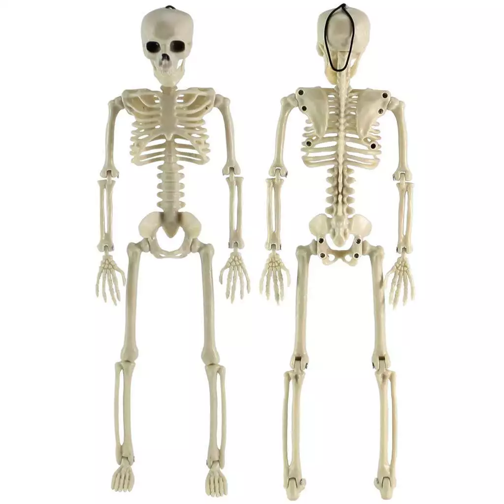 Item image 12