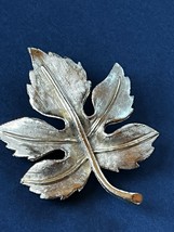 Vintage Large Etched Goldtone Maple Leaf Brooch Pin – 2 and 5/8th’s x 1 and 7/8t - £9.04 GBP