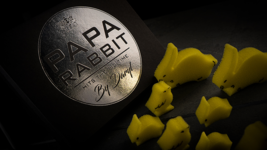 Papa Rabbit Hits The Big Time (Gimmicks and Online Instruction) by DARYL! - £15.55 GBP