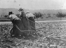 French Peasants Plowing Field Somme France 1917 8x10 World War I WW1 Photo - £7.01 GBP