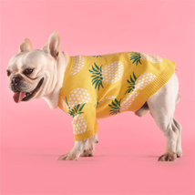 Tropical Delight Cotton Sweater - £18.34 GBP