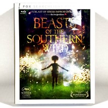 Beasts of the Southern Wild (Blu-ray/DVD, 2012, Widescreen) Like New w/ Slip ! - $5.88