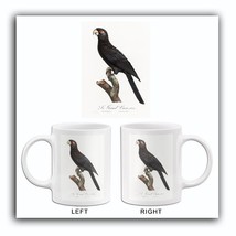 Greater Vasa Parrot - 1800&#39;s - Francois Levaillant - Bird Illustration Mug - $23.99+