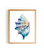 Watercolor Seashells Art Home Decor Shells Wallart - Digital Download - $1.19