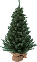 Miniature Pine Tree - $24.74