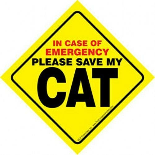 In Case of Emergency Please Save My CAT Bright Window Sign FREE Suction ... - $5.89