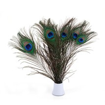 Real Natural Peacock Feathers Bulk 10-12 Inches (25-30Cm) Great Decorati... - £13.62 GBP