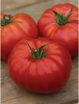 BEST 50 Seeds Easy To Grow Heritage Tomato Juicy Vegetable Tomatoe - $10.00