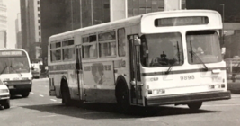 1992 Chicago Transit Authority CTA Bus #9898 Route 145 Michigan Express Photo - £7.58 GBP