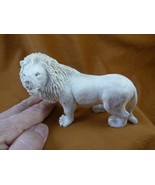(Lion-w17) white standing lion on shed ANTLER figurine Bali detailed lov... - $7,216.18 MXN
