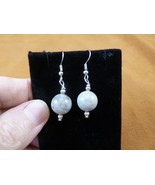 DP1-18m REAL DINOSAUR POOP 12mm bead dangle EARRINGS Utah ancient Dino C... - $348.35 MXN