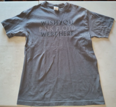 PINK FLOYD WISH YOU WERE HERE Medium Band Shirt Vintage 2005 Gray Rare C... - £47.78 GBP