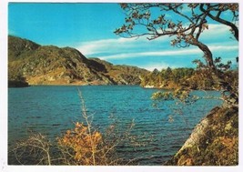 Scotland UK Postcard Loch Katrine between Trossachs &amp; Glen Gyle - £2.32 GBP