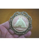 (CL54-14) HORSE RACE Stallion head mare white + pink CAMEO Brooch Pin Pe... - $526.51 MXN