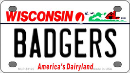 Badgers Wisconsin Novelty Mini Metal License Plate Tag - £11.75 GBP