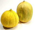 25 Crenshaw Melon Seeds Non-Gmo Fast Shipping - $8.99