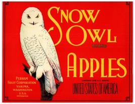 Vintage Snow Owl Brand Apples Yakima WA Apple Crate Label Red - £3.90 GBP