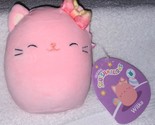 Squishmallows Wilka the Pink Cat 5&quot; NWT - £9.89 GBP