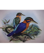 (1)Halcyon Concreta + (2)Tranysiptera Sylvia, Keulemans, Hand Colored, 1... - $2,779.74 MXN