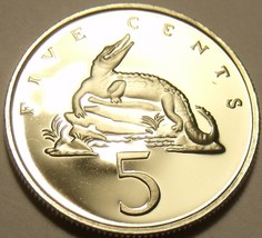 Rare Proof Jamaica 1973 5 Cent ~ American Crocodile ~28,000 Minted~-
sho... - £3.64 GBP
