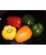 FMG 50 Seeds Red Orange Yellow &amp; Green Bell Fast Growing - $21.12 CAD
