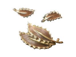 Sarah Coventry 1968 &quot;Wooded Beauty&quot; Leaf Brooch and Clip-On Earring Set Vintage - £6.72 GBP