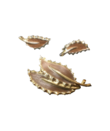 Sarah Coventry 1968 &quot;Wooded Beauty&quot; Leaf Brooch and Clip-On Earring Set ... - £6.35 GBP