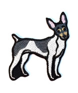 Toy Fox Terrier Dog Patch Iron on No Name - $9.01 CAD