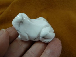 (Y-FRO-747) little white howlite FROG frogs gem stone gemstone CARVING f... - £13.78 GBP