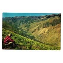 Vintage Postcard Hells Canyon Of The Snake River Gorge Idaho Oregon - £7.42 GBP