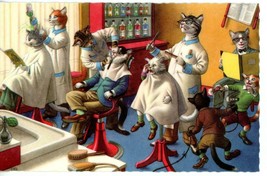 Alfred Mainzer Cat Postcard 4880 Unposted Artist Eugen Hartung Barber Shop - £3.99 GBP