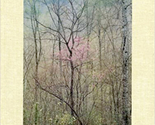 Intimate Landscapes Photograps by Eliot Porter [Nature Landscape Photography]   - $153.96