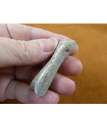 (DP3-575) 1-7/8&quot; polished REAL DINOSAUR bone pendant necklace Utah Dino ... - $22.99