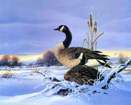 Two geese Oil Painting Home decor Art Printed canvas Giclee - £6.84 GBP+
